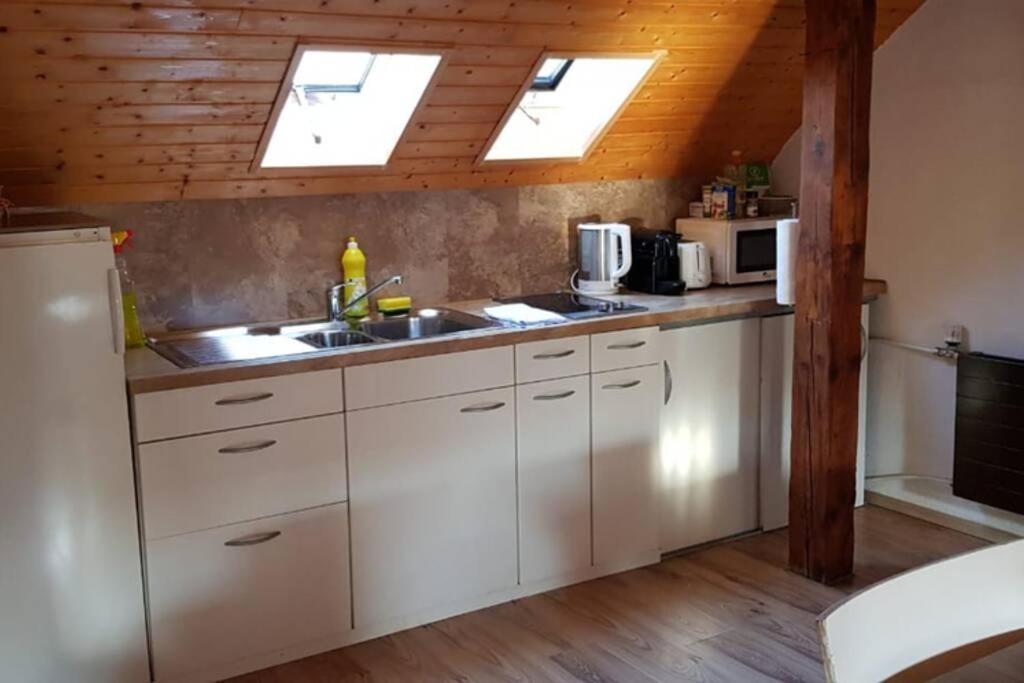 Cozy With Roof Terrace For 3 * Zurigo